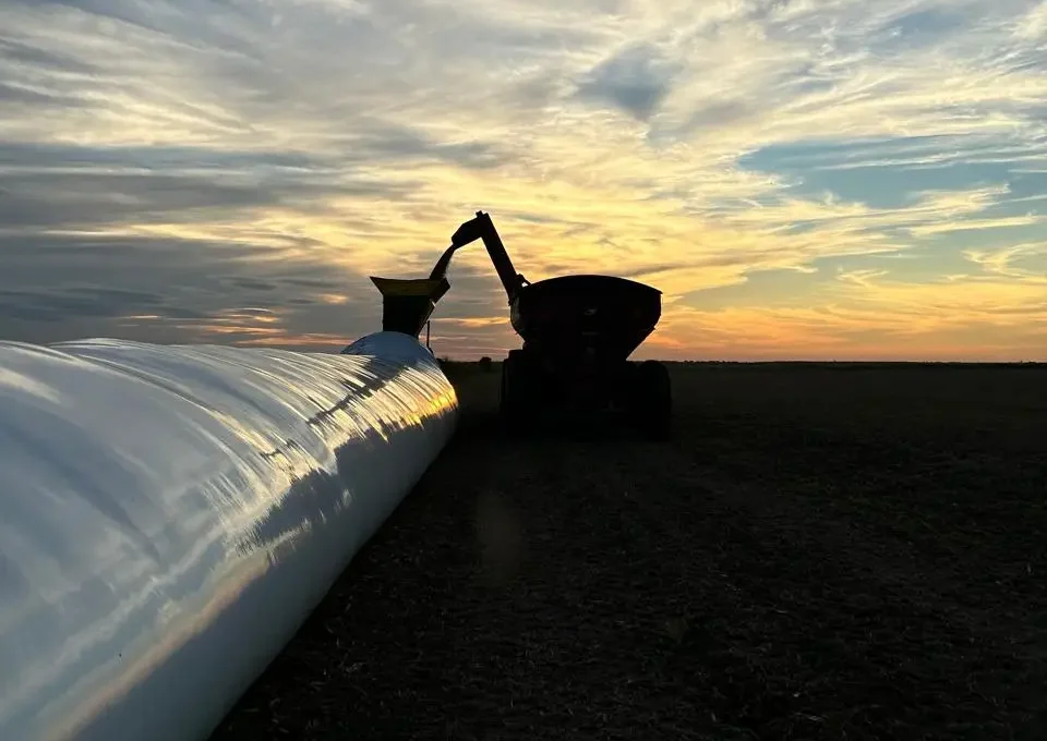 WhatsApp Image 2026-02-02 at 23.05.15