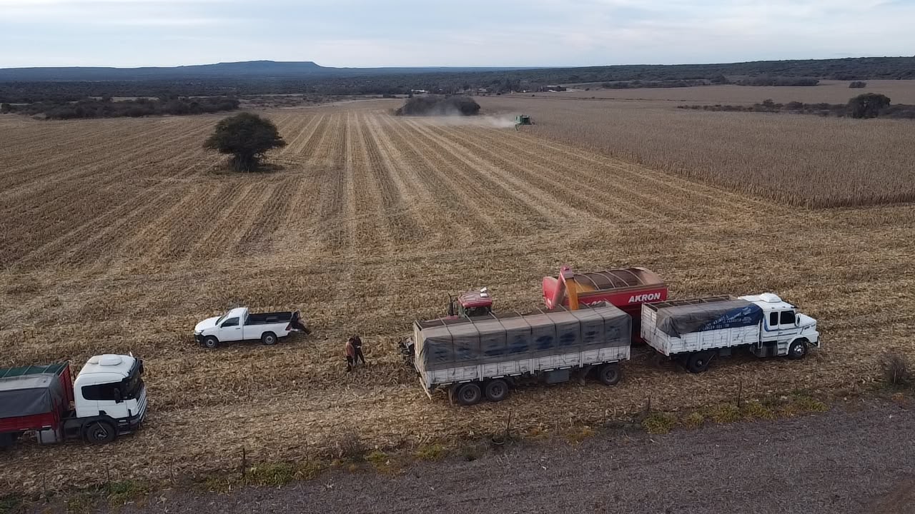 photo 2026 07 30 23 32 54